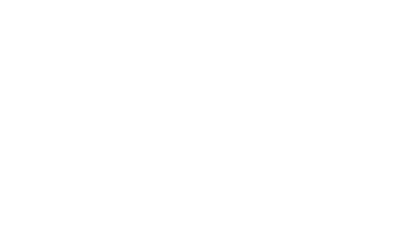 Dreeser & Partner – Schäfer versichert